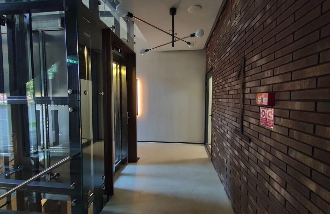 3100285571