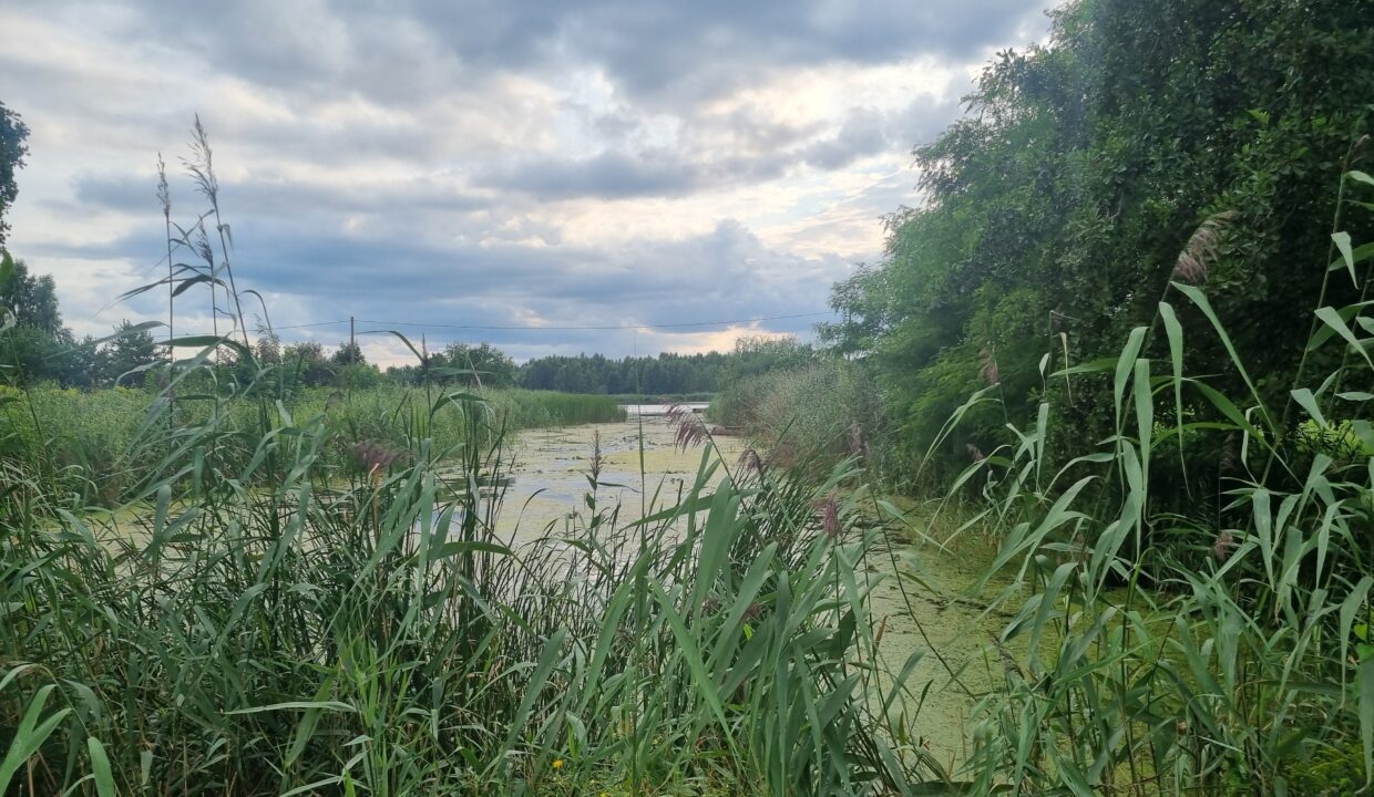 20260806_190809